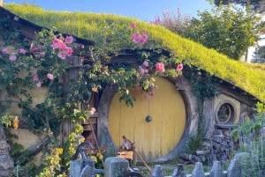 Da Auckland: Tour per piccoli gruppi di Hobbiton e dei Giardini di Hamilton