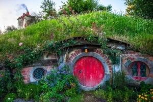 オークランド発：ホビトン映画セット 1 日少人数グループ旅行