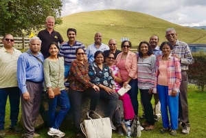 オークランド発：ホビトン映画セット 1 日少人数グループ旅行