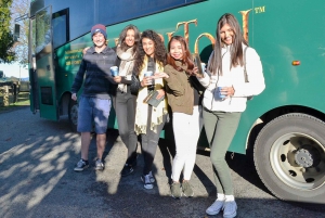 From Auckland: Hobbiton Movie Set Half-Day Trip with Tour