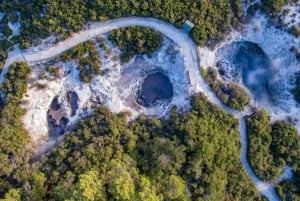 From Auckland: Hobbiton & Wai-O-Tapu - Small Group Tour