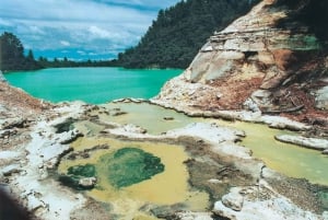 From Auckland: Hobbiton & Wai-O-Tapu - Small Group Tour