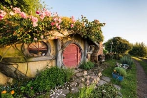 Z Auckland: Całodniowa wycieczka do Hobbitonu i jaskiń Waitomo