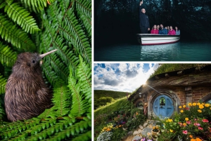 From Auckland: Hobbiton, Waitomo Caves & Kiwi House Tour