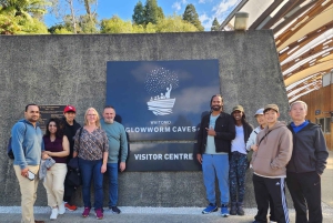 From Auckland: Hobbiton, Waitomo Caves & Kiwi House Tour