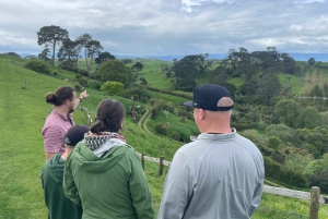 From Auckland: Hobbiton, Waitomo Caves & Kiwi House Tour