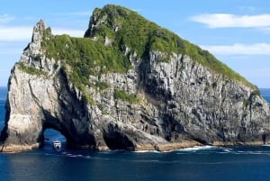 Fra Auckland: cruise til Hole in the Rock