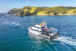 Fra Auckland: cruise til Hole in the Rock