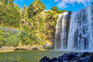 Fra Auckland: cruise til Hole in the Rock