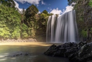 Fra Auckland: cruise til Hole in the Rock