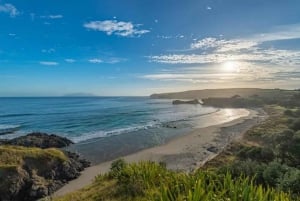 Vanuit Auckland: Kiwi Bird Encounter & 3-gangen diner tour