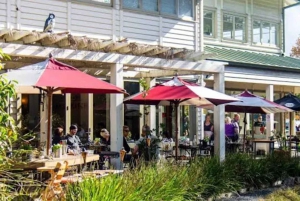 Vanuit Auckland: Kiwi Bird Encounter & 3-gangen diner tour