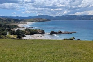 Vanuit Auckland: Kiwi Bird Encounter & 3-gangen diner tour