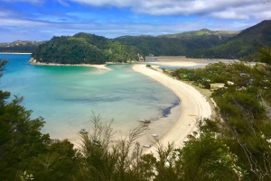 Vanuit Auckland: Kiwi Bird Encounter & 3-gangen diner tour