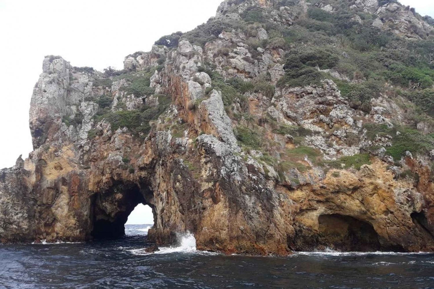 From Auckland: Poor Knights Islands Day Trip