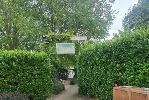 From Auckland: Private tour Hobbiton Movie Set Day Trip