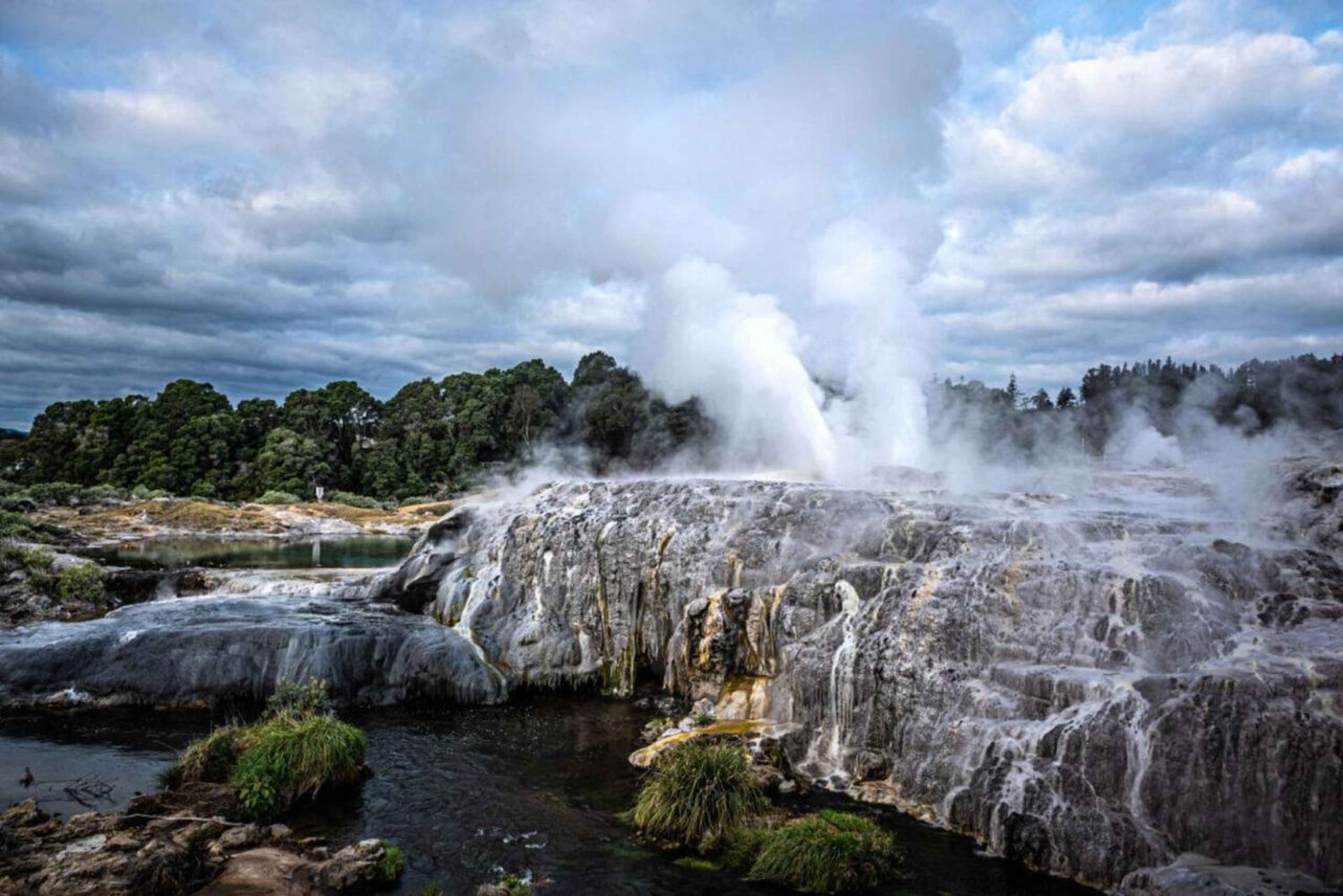 Au départ d'Auckland : Rotorua Te Puia, Haka & Polynesian Spa Tour