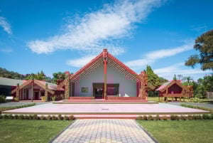 Da Auckland: Rotorua Te Puia, Haka e tour delle terme polinesiane