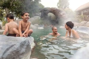 Au départ d'Auckland : Rotorua Te Puia, Haka & Polynesian Spa Tour