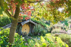 From Auckland: Hobbiton and Waitomo Day Tour with Lunch