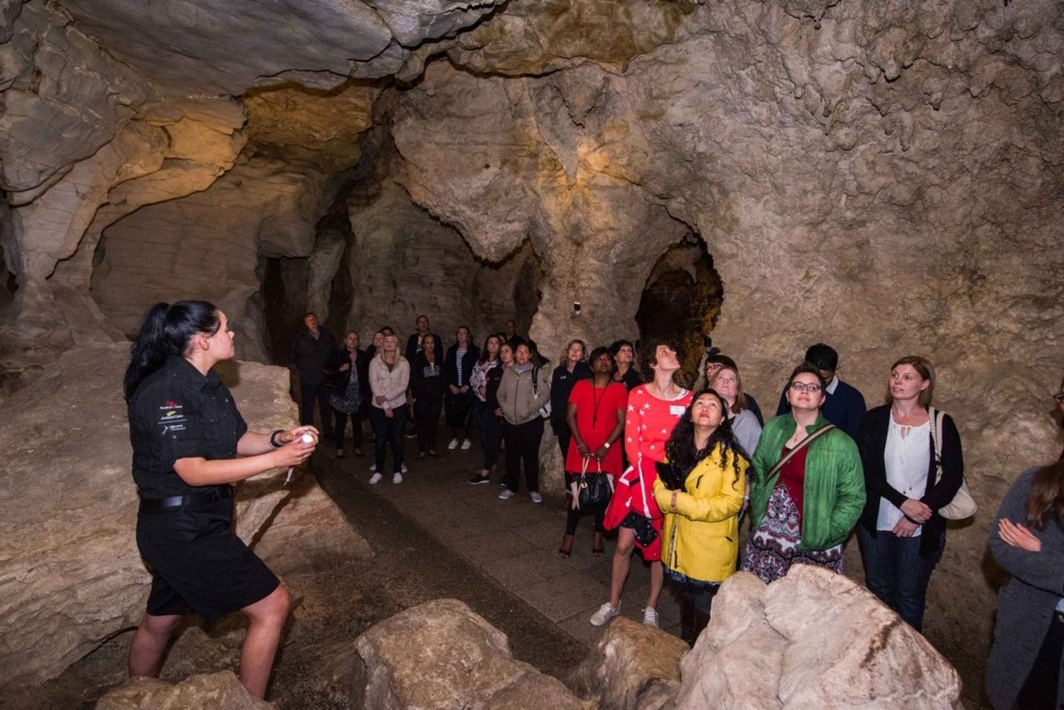 From Auckland: Transfer to Rotorua with Waitomo Caves Tour