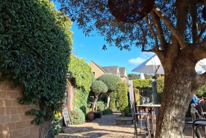 Da Auckland: Tour delle cantine dell'isola di Waiheke