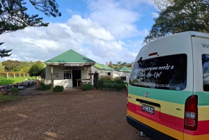 Da Auckland: Tour delle cantine dell'isola di Waiheke