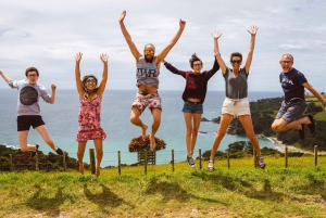 From Auckland: Waiheke Island Wine Tasting Tour with Lunch