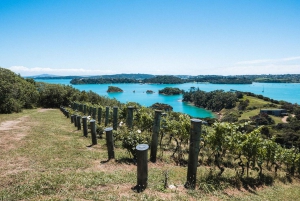 From Auckland: Waiheke Island Wine Tasting Tour with Lunch