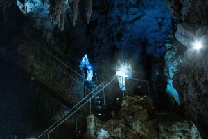 Aucklandista: Waitomo-luolat ja Kiwi House -ryhmäretki