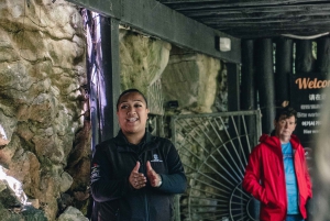 Aucklandista: Waitomo-luolat ja Kiwi House -ryhmäretki