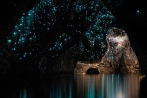 From Auckland: Waitomo Caves and Kiwi House Small Group Tour