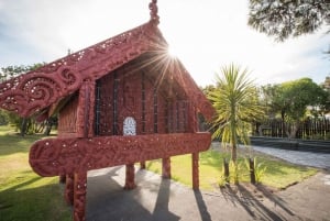 From Auckland : Waitomo Caves and Rotorua with Te Puia