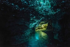 Au départ d'Auckland : Les grottes de Waitomo et Rotorua