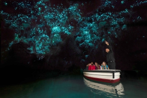 Au départ d'Auckland : Les grottes de Waitomo et Rotorua