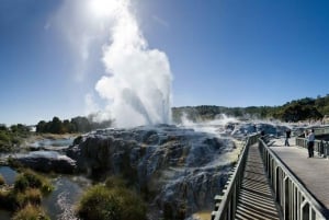 Au départ d'Auckland : Les grottes de Waitomo et Rotorua