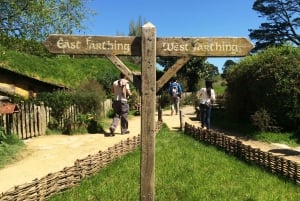 From Auckland: Waitomo & Hobbiton Bus Tour with Lunch
