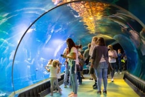 From Kraków: Private Tour to Wrocław with a personal driver