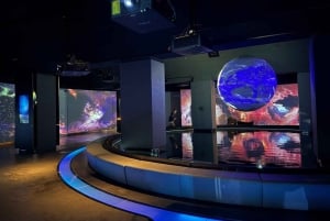 From Kraków: Private Tour to Wrocław with a personal driver