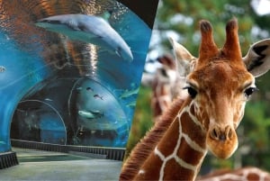 From Kraków: Private Tour to Wrocław with a personal driver