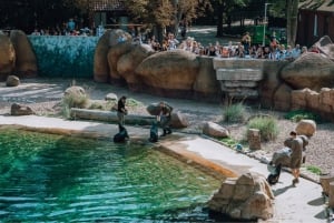 From Kraków: Private Tour to Wrocław with a personal driver