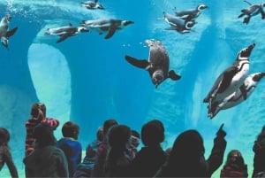 From Kraków: Private Tour to Wrocław with a personal driver