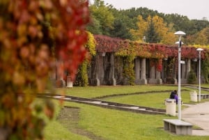 From Kraków: Private Tour to Wrocław with a personal driver