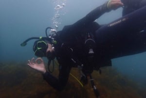 From Leigh: Goat Island Try Scuba Diving Experience