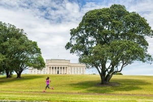 Visite privée d'une jounée de la ville d'Auckland et de la forêt tropicale en voiture