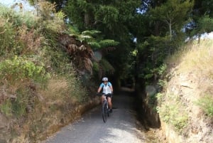 Full Day Ebike Tour - Karangahake Gorge NZ