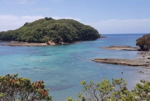 Goat Island Guided Snorkelling Tour for Beginners