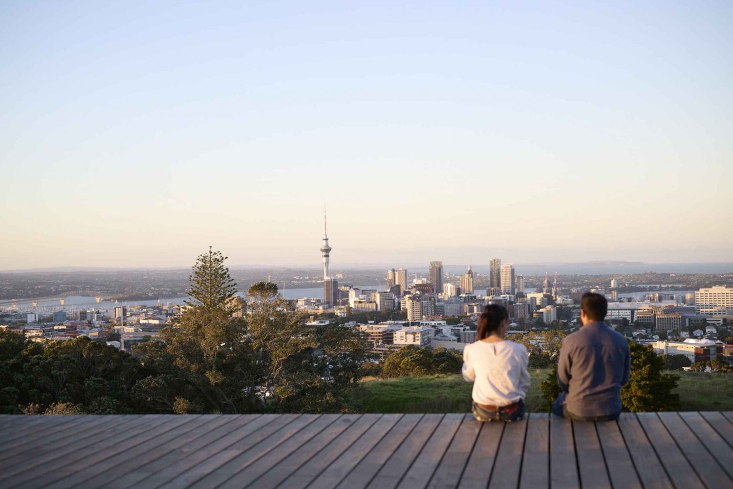 Half-Day Auckland City Sightseeing Small Group Tour