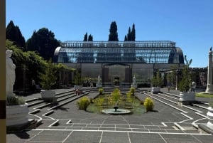 Halvdagstur i Auckland – byomvisning i byen av seil