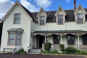 Half-Day Tour - EAST AUCKLAND Explorer & Scenic Ferry Return